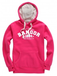 Ultra Thick Est 1884 Hoodie - Pink